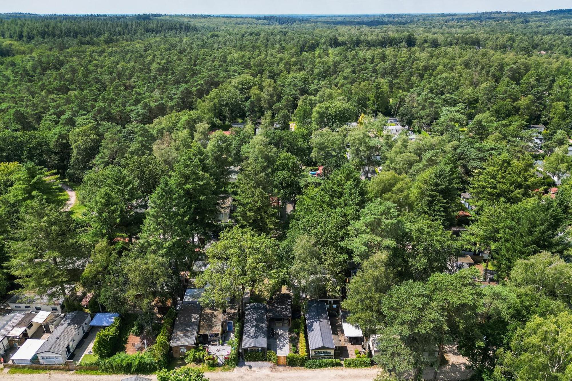 Veluwe Hoenderloo Luxury Chalet With Private Sauna And Hot Tub - Swimming Pool Tennis Court Supermarket Bowling Alley Theatre And Entertainment For Children Dış mekan fotoğraf