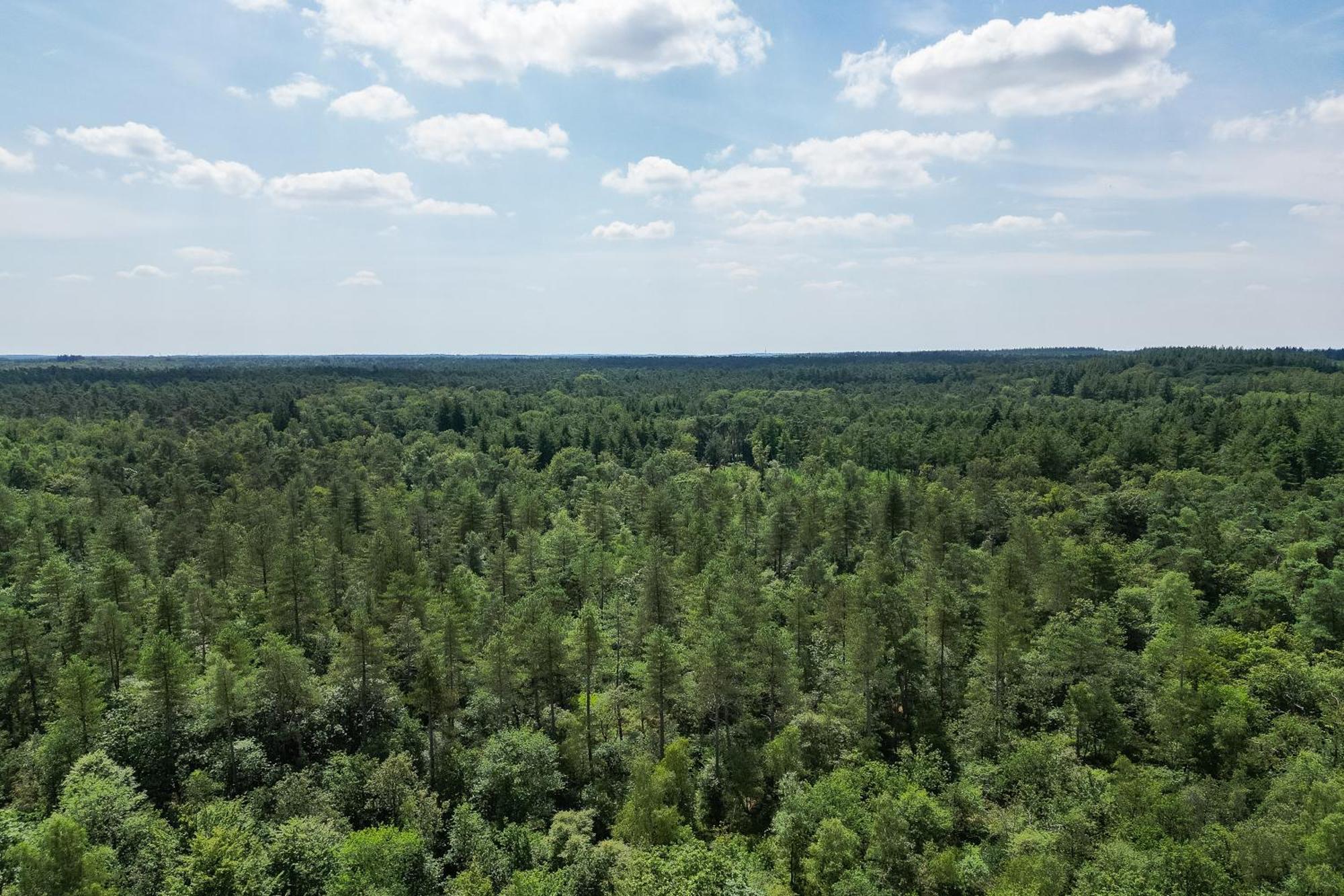 Veluwe Hoenderloo Luxury Chalet With Private Sauna And Hot Tub - Swimming Pool Tennis Court Supermarket Bowling Alley Theatre And Entertainment For Children Dış mekan fotoğraf