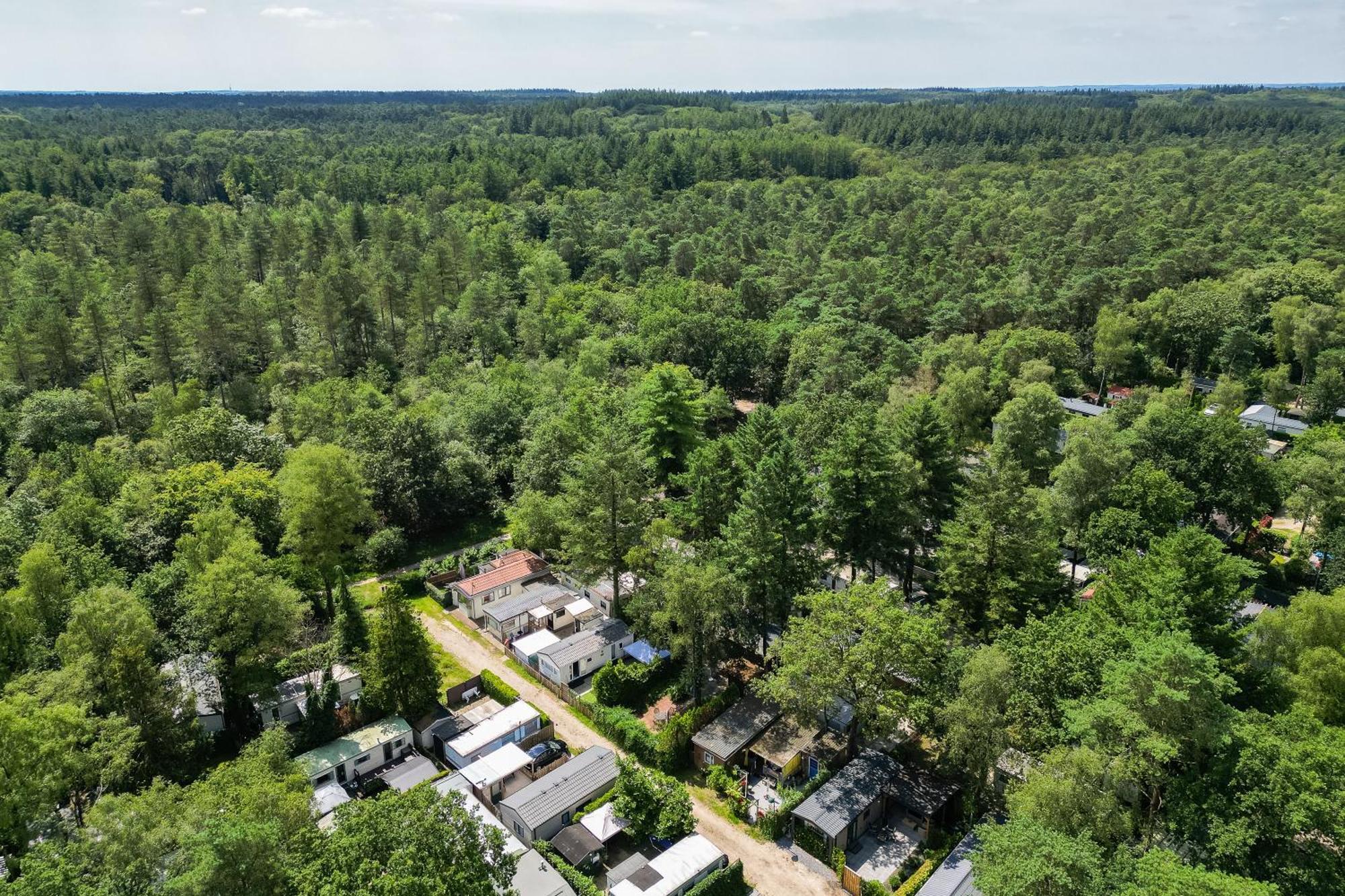 Veluwe Hoenderloo Luxury Chalet With Private Sauna And Hot Tub - Swimming Pool Tennis Court Supermarket Bowling Alley Theatre And Entertainment For Children Dış mekan fotoğraf